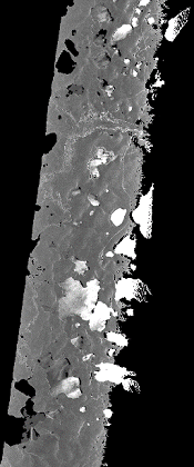 AirSWOT example swath