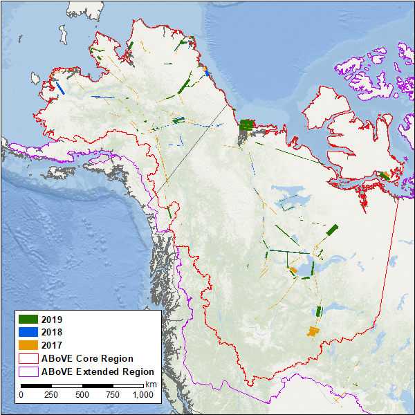 AVIRIS-NG flight paths for ABoVE