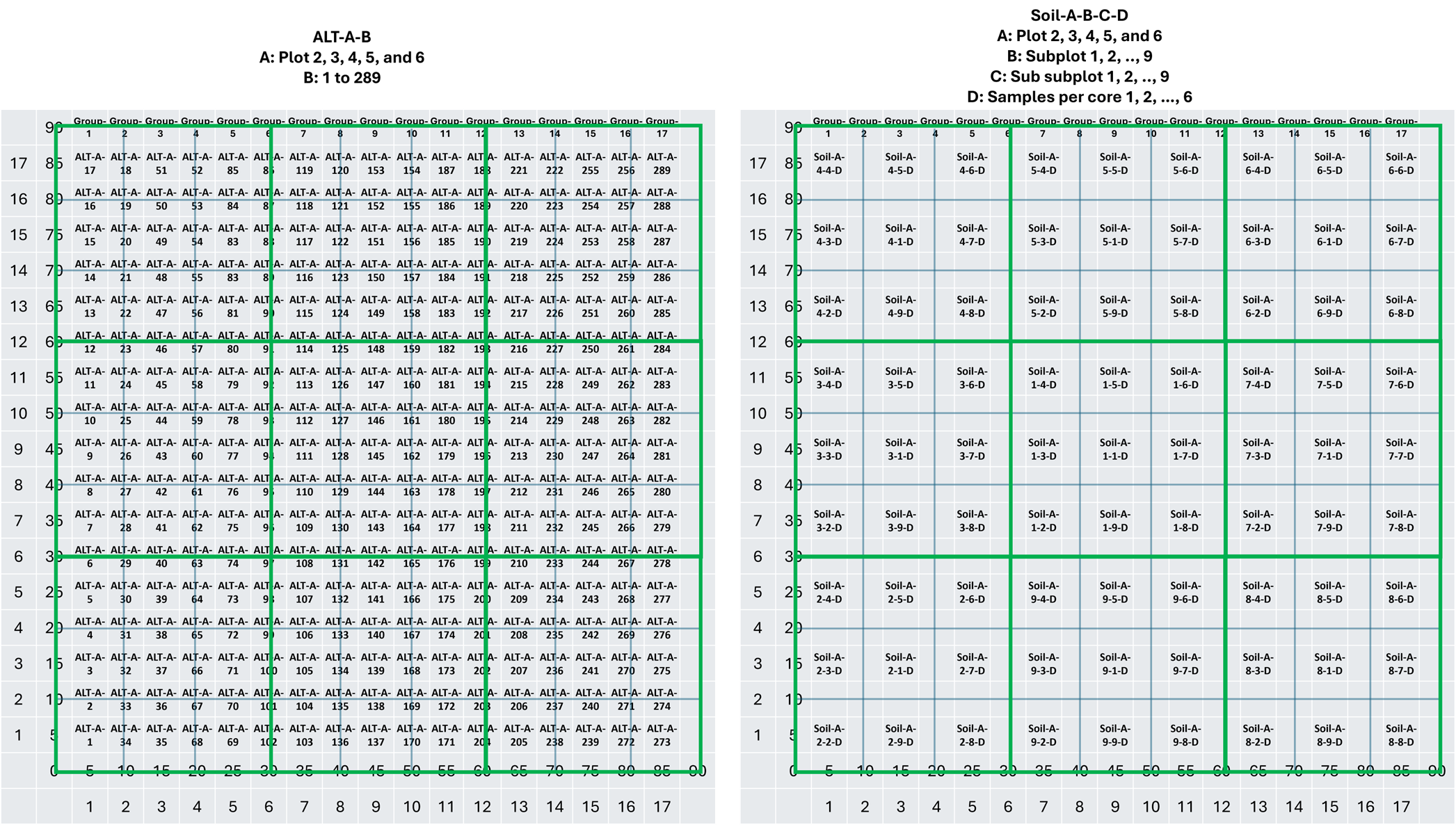 Grid labels. More details of the plot dimensions are provided in Figure 4, the labels in ALT and Soil data are shown in this figure. 