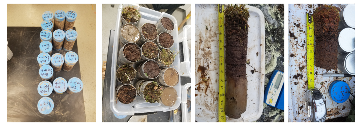 Sample collected in the field. Divided soil cores into tin containers. Soil cores representative of 0-15 and 0-30 (cm) profile.  