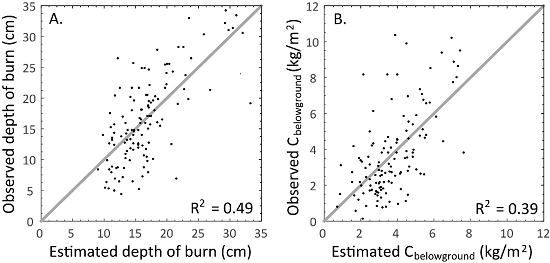 observed versus expected