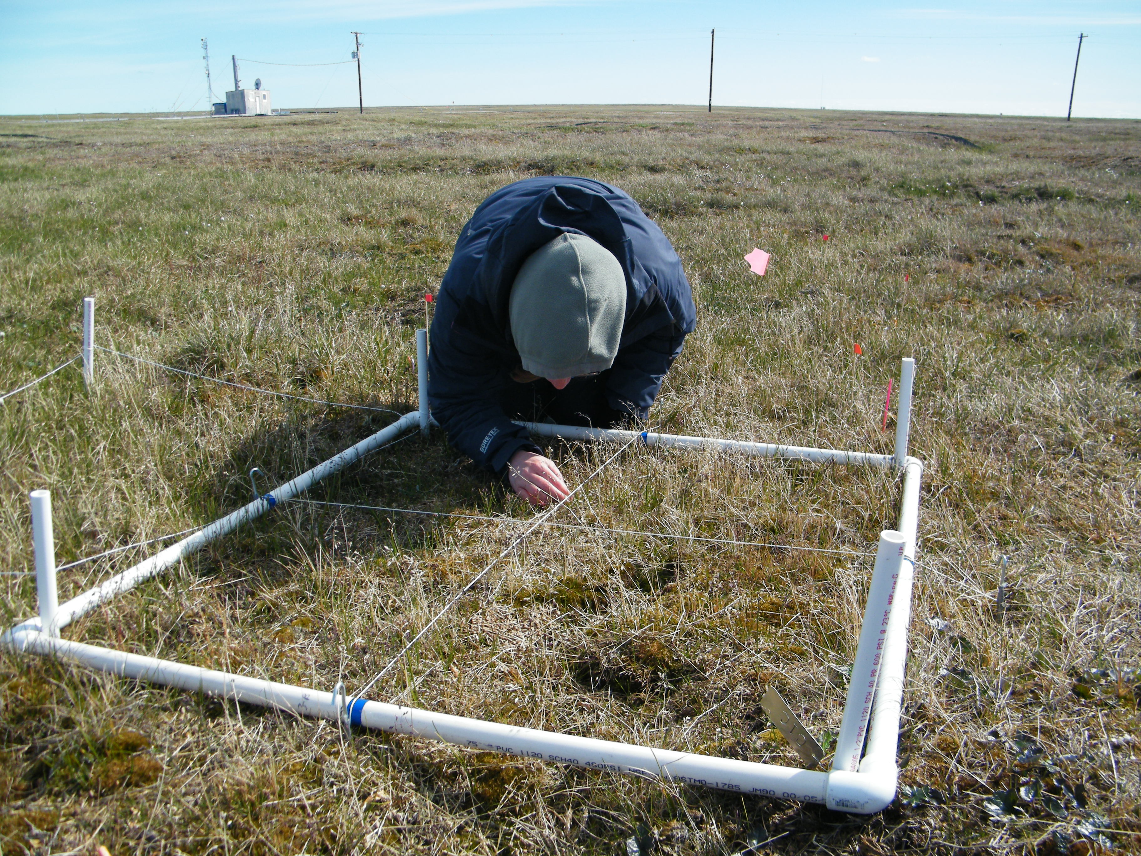 Measuring vegetation community
