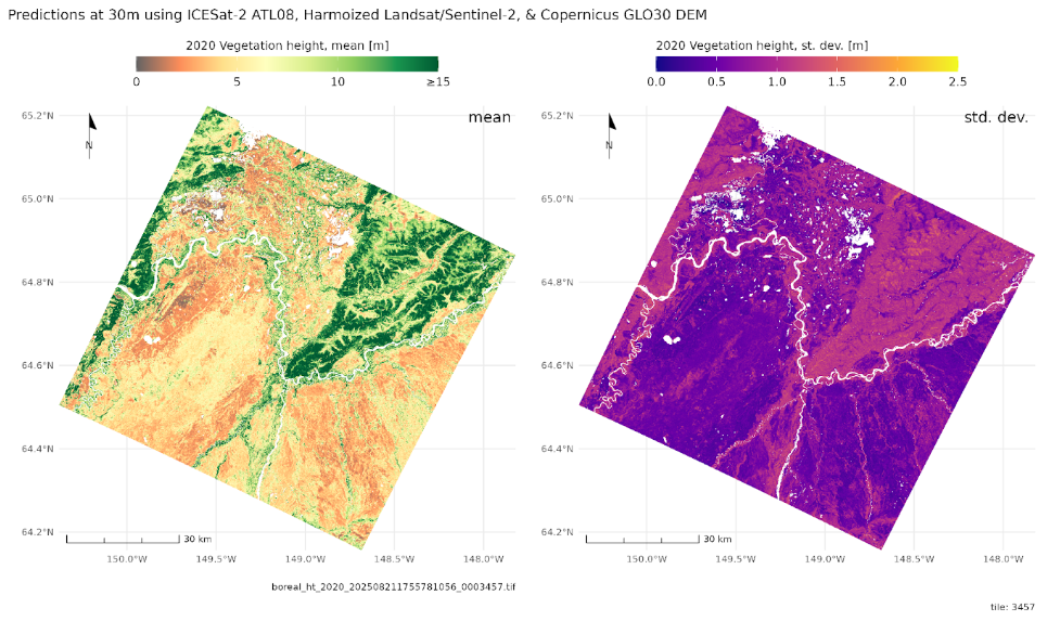 Example estimates of vegetation height and aboveground biomass