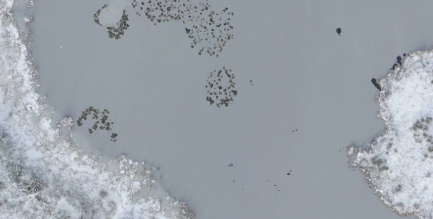 AerialPhotograph