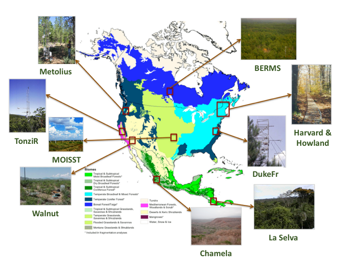 airmoss sites