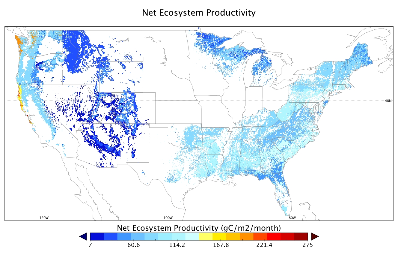 net ecosys productivity