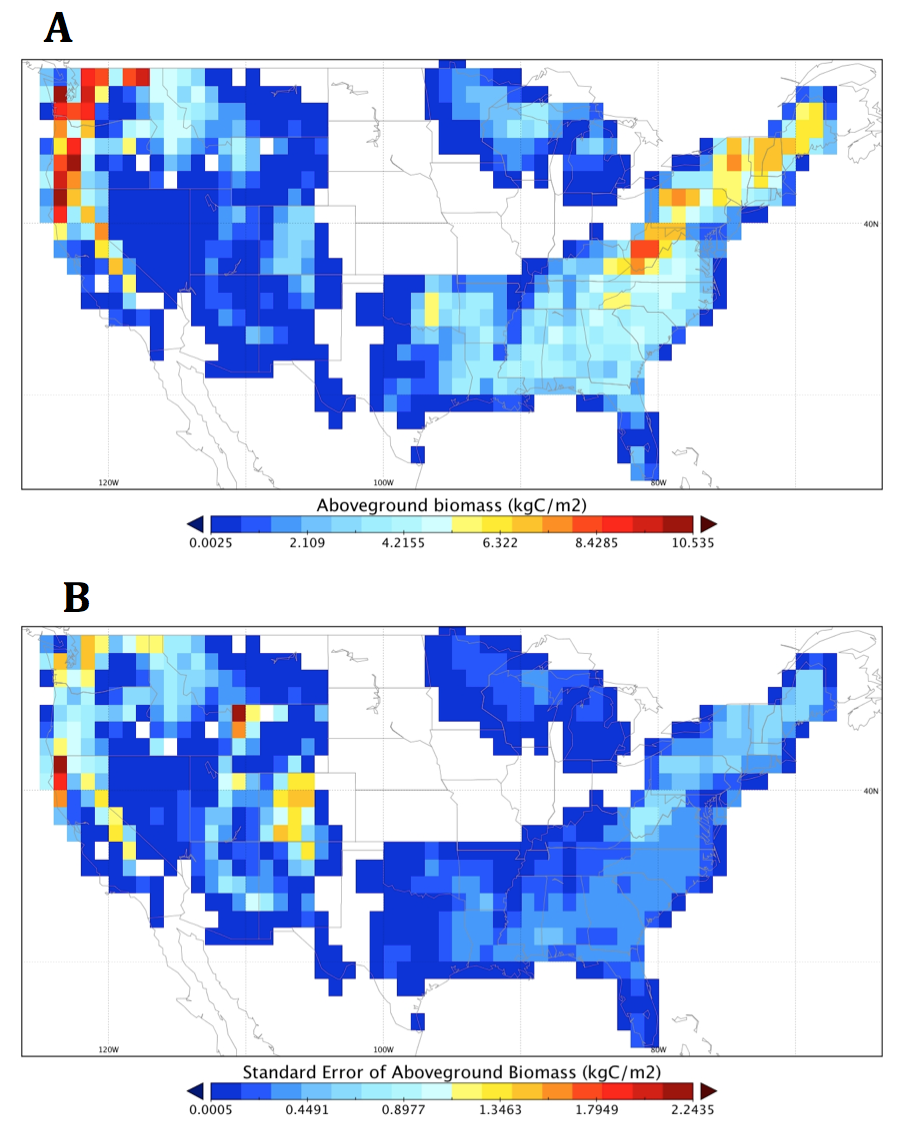 aboveground biomass for 2005