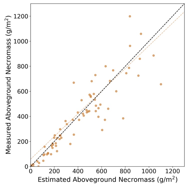Error distribution for necromass products