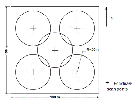 NE plot layouts