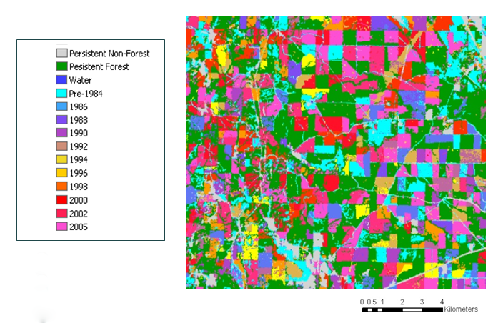 forest disturbance map