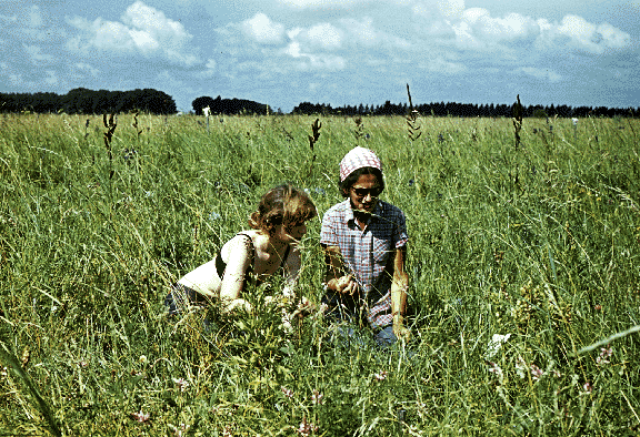 clipping AG biomass