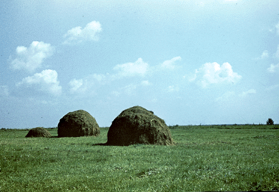 hay stacks