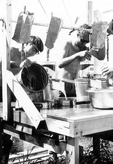 Washing root samples