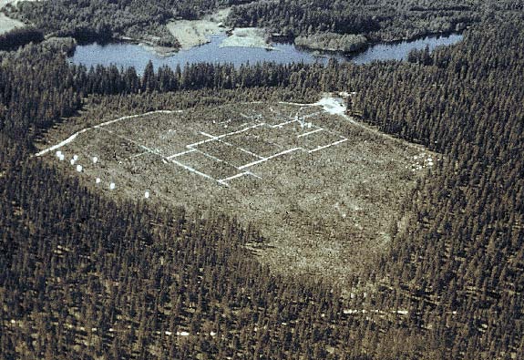 aerial view of plots