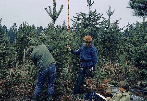 non-destructive measurements