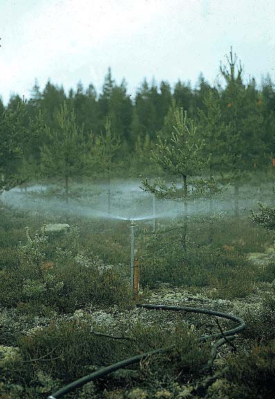 sprinkler system