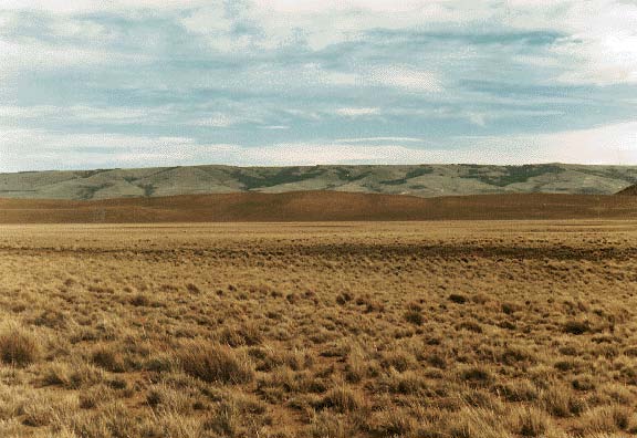 grassland picture