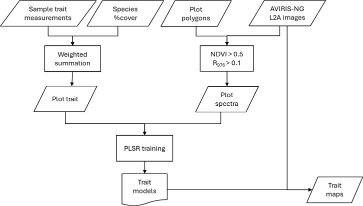 Analysis workflow